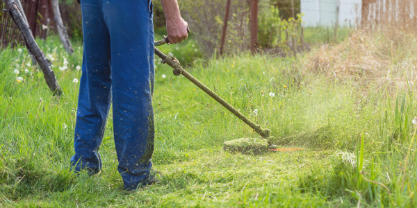 Gartenarbeiten Rasenmähen